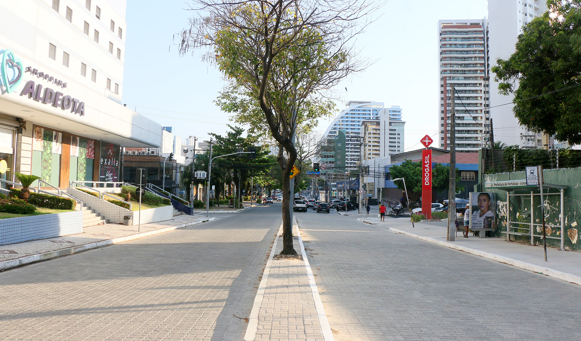 a foto mostra o canteiro central da avenida desembargador moreira